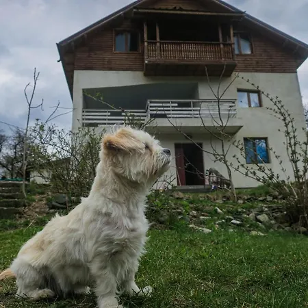 Homestay szállás Surasul Muntelui Dragoslavele
