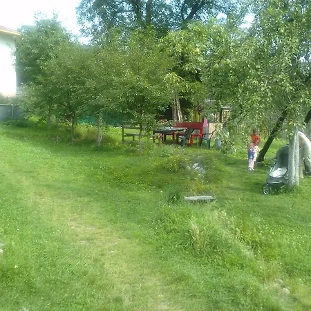 Homestay szállás Surasul Muntelui *