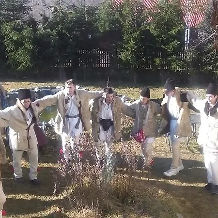 Surasul Muntelui Homestay szállás