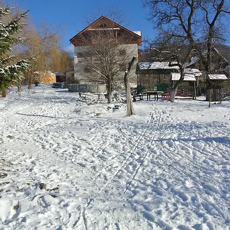Homestay szállás Surasul Muntelui *